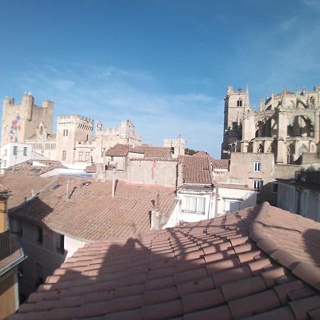Studio Terrasse Vue Cathedrale Narbonne Ngoại thất bức ảnh